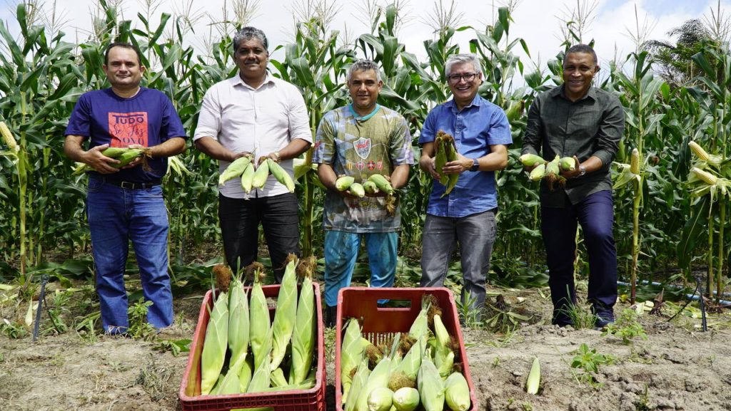 Eudes Barros fortalece a agricultura da Raposa incentivando diversificação de cultivo